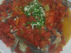 -全乐鱼馆·淳牌有机鱼直营店