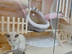 -花系美·美甲美睫精品店