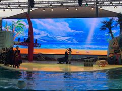 -三亚海昌梦幻海洋不夜城