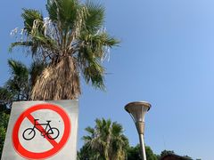 -八婆婆烧仙草(曾厝垵店)