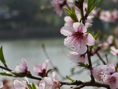 -虎丘山风景名胜区