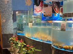 -江南赋(内蒙古大厦店)