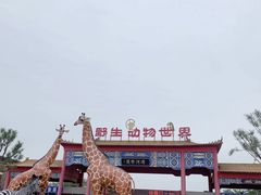 -聊城动物园