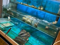 水产区-鑫釜山海鲜烧烤(鑫丰国际店)
