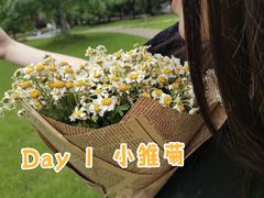 -循礼门鲜花花市(武汉循礼门店)