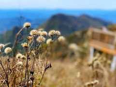 -白草畔自然风景区