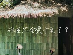 -扬州市茱萸湾风景区