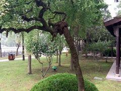 android_upload_pic-清晏园
