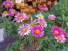 -天龙八部武侠城