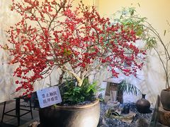 -成川茶店·潮汕工夫浓茶(万象店)