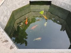 -西安市广仁寺