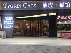 -袖虎·猫馆(体育西路店)