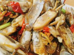 -金海湾海鲜排档(朱家尖店)