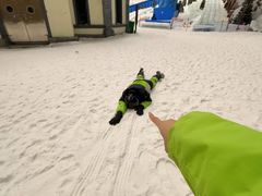 -长沙湘江欢乐雪域