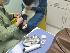 -达爱动物医院·犬猫分区·CT·复杂眼科(远洋山水分院)