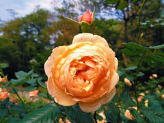 -人民公园(罗湖区)