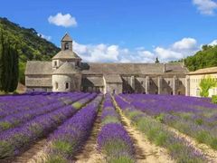 -白沙门生态公园