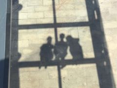 -中国湿地博物馆