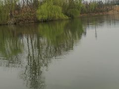 -白鹭湾湿地公园