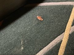 -金逸影城(广州海珠城激光IMAX店)