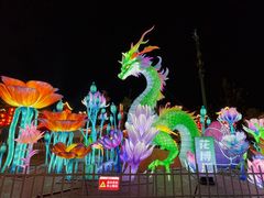 -花博汇(知音花月夜)