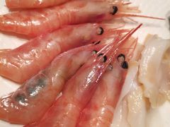 甜虾刺身-新发展亚太JW万豪酒店·福苑咖啡厅