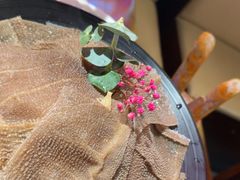 -重庆高老九火锅(万象城店)