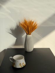 -IDESIGN艾迪赛 美学