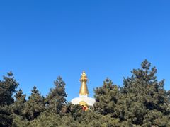 -护国法轮寺