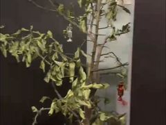 -枫花园汽车电影院(朝阳公园店)