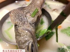 跳跳鱼撞豆腐-莆田餐厅PUTIEN(三里屯店)