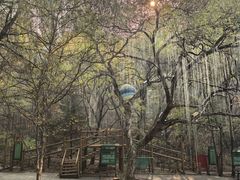 -吉林市朱雀山国家森林公园