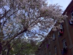 -山东师范大学(千佛山校区)