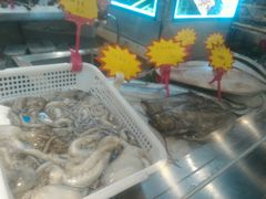 -渔娘渔家丹东海鲜(东直门店)