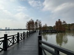 -海珠湖公园