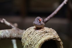 -Zoolung Zoolung动物主题公园(海信广场店)