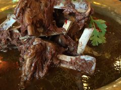 -芦月轩羊蝎子(北蜂窝店)