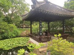 -上海醉白池公园