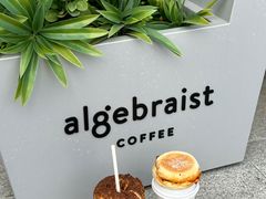 -代数学家algebraist(诚品店)