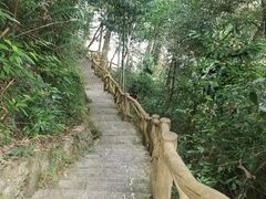 -海南热带雨林国家公园吊罗山景区