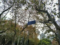 -徐家汇源景区-衡山坊