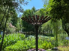 -陈家山荷花公园