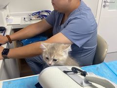 -达爱动物医院·犬猫分区·CT·复杂眼科(远洋山水分院)