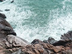 -广东惠东海龟国家级自然保护区