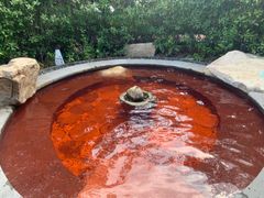 -溧阳天目湖天沐温泉