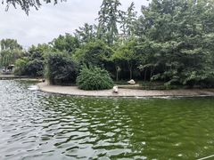 -成都动物园
