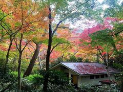 -有马温泉 竹取亭円山温泉旅馆