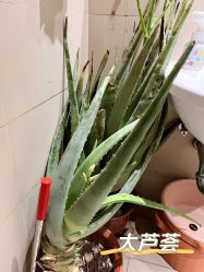 -禾壹净·素颜美问题肌肤修护中心