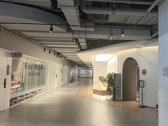 -舞蕾舞蹈(特长生校区)