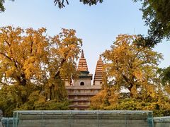 -北京石刻艺术博物馆(五塔寺)
